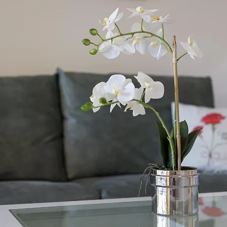 Home2book Zen Oasis Pool & Terrace, 아파트 코라레호